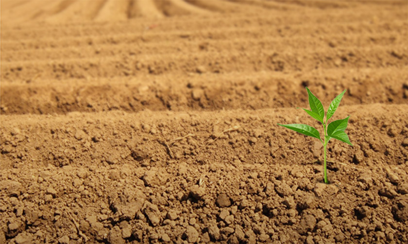 Menyehatkan Tanah Kembali